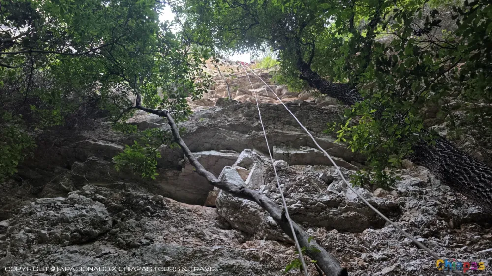 Sima de las Cotorras, Chiapas: Tours y Aventura en Sima de las Cotorras