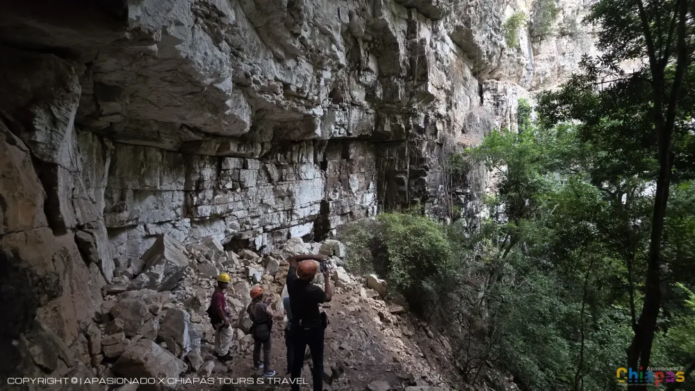 Sima de las Cotorras, Chiapas: Tours y Aventura en Sima de las Cotorras