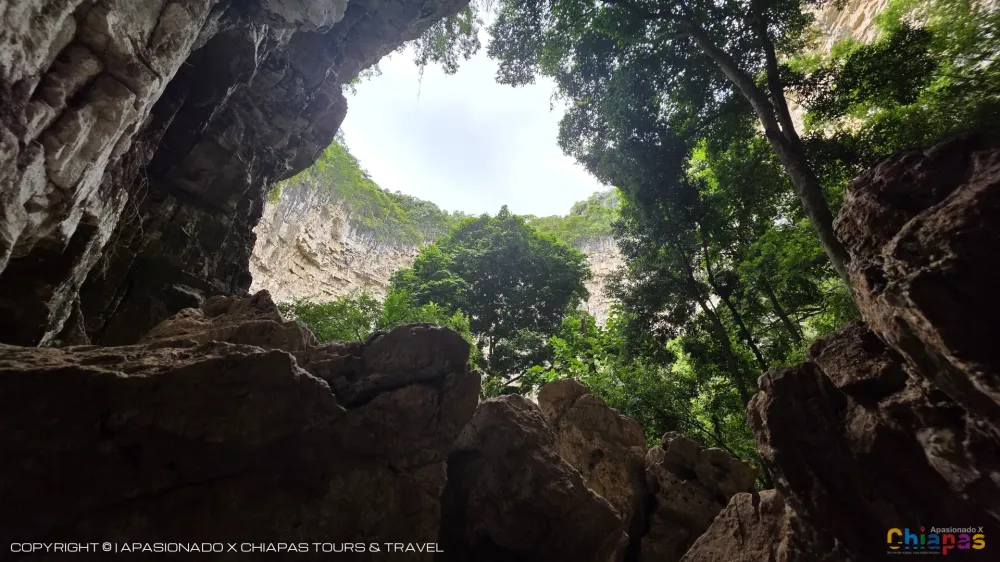 Sima de las Cotorras, Chiapas: Tours y Aventura en Sima de las Cotorras