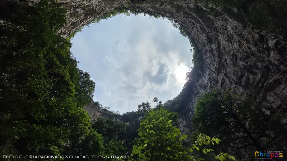 Visita la Sima de las Cotorras en Chiapas | Tours y Excursiones en Sima de las Cotorras