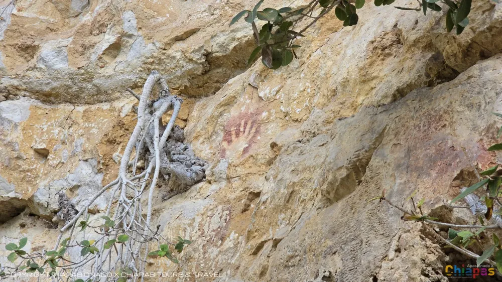 Sima de las Cotorras, Chiapas: Turismo de Aventura y Ecoturismo en Sima de las Cotorras