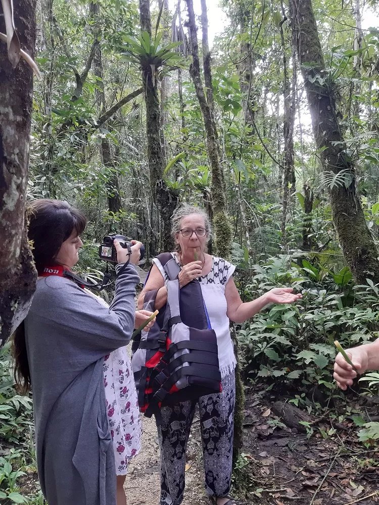 Historias Fascinantes de la Selva Lacandona