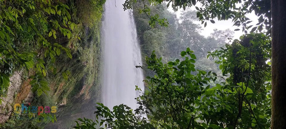 cascada de misol-ha impresionante