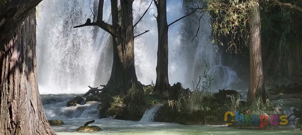 Caminando a través de las Eras: Paraiso en chiflon chiapas