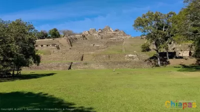 Z.A. de Tonina por Apasionado x Chiapas