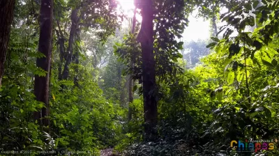 La selva lacandona, belleza de la naturaleza