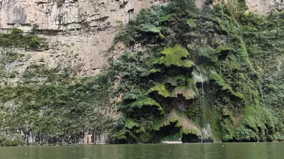 Arbol de navidad en el Cañón del Sumidero, con el sol iluminando las paredes rocosas.