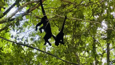 Centro Eco turístico Cascadas Welib Hå Centro Eco turístico Cascadas Welib Hå