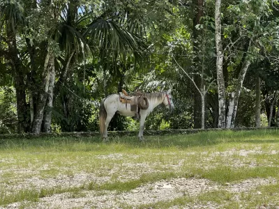 Centro Eco turístico Cascadas Welib Hå Centro Eco turístico Cascadas Welib Hå