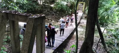 Descubre la Magia de la Civilización Maya Zona Arqueológica Palenque