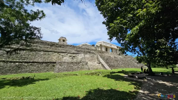 Descubre la Zona Arqueológica de Palenque