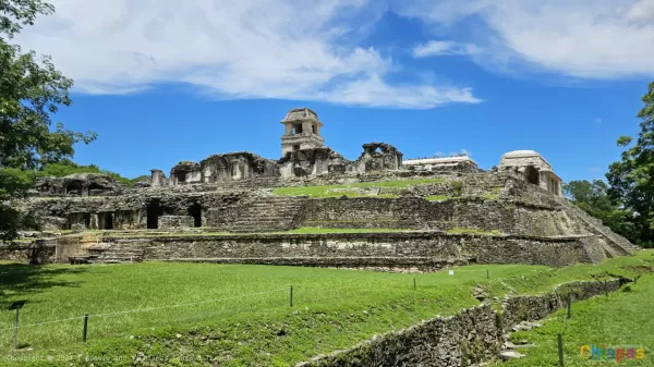 Descubre la Zona Arqueológica de Palenque