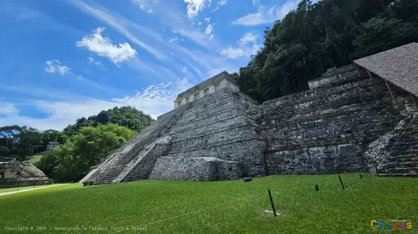 Descubre la Zona Arqueológica de Palenque