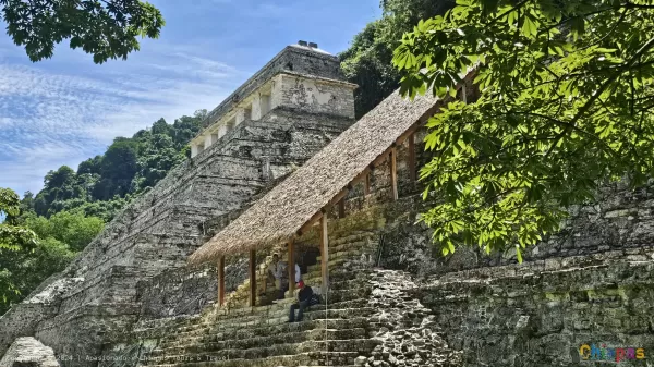 Descubre la Zona Arqueológica de Palenque