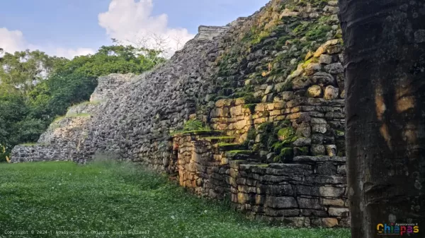 Arqueología en Pomona: Un viaje al pasado