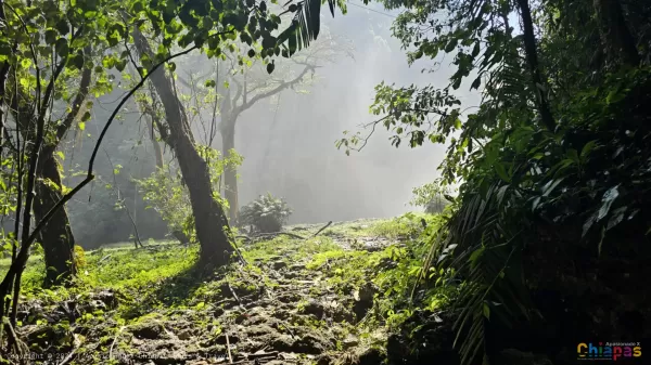 Cascada El Salto: Un Destino Imprescindible para los Amantes de la Naturaleza