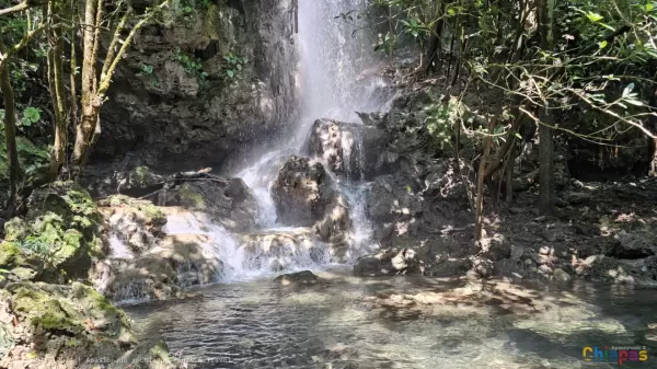 Cascada El Salto: Qué Ver, Hacer y Disfrutar en Este Destino Escondido