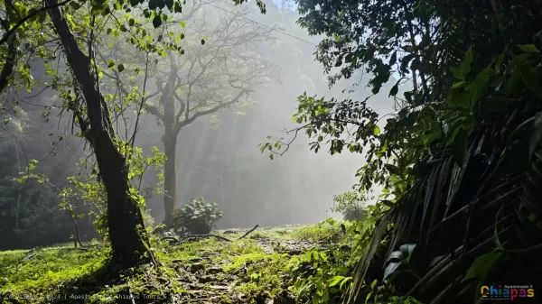 Visita la Cascada El Salto: Un Refugio Natural Inolvidable Visita la Cascada El Salto: Un Refugio Natural Inolvidable