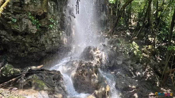 Explora la Majestuosa Cascada El Salto: