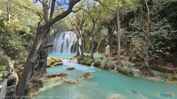 Cascada El Chiflón: Una Guía Completa para Visitar Esta Maravilla Natural