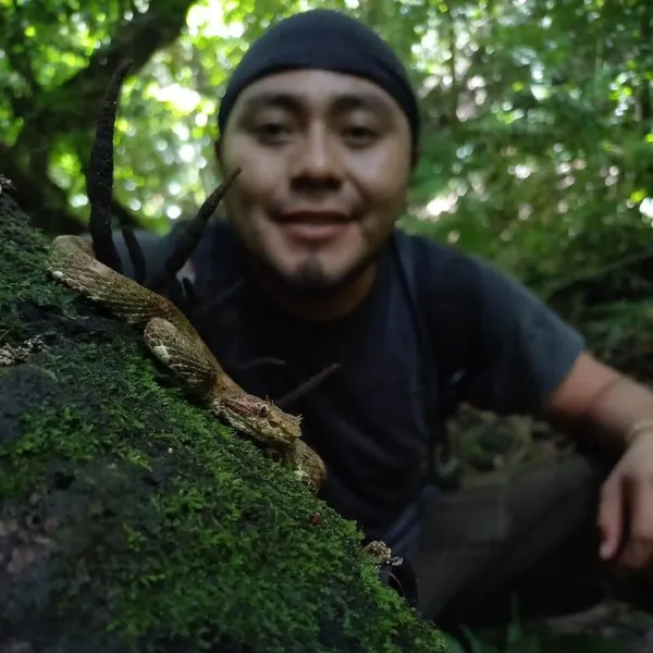 Selva Lacandona Selva Lacandona