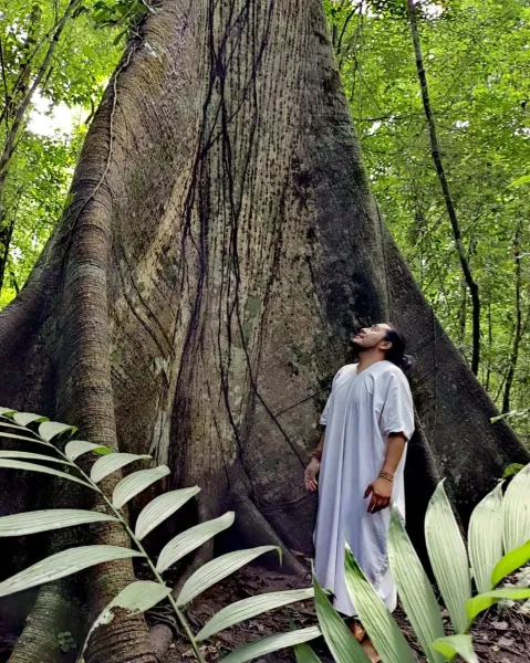 Selva Lacandona Selva Lacandona