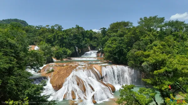 Explora las Impresionantes Cascadas Cercanas a Palenque: Guía Completa para tu Visita