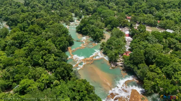 Descubre las Maravillosas Cascadas de Agua Azul: Un Paraíso Natural Imperdible