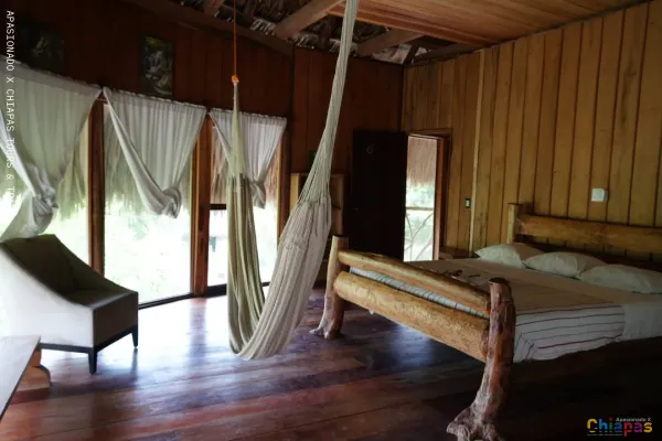 Turismo en la Selva Lacandona: mejores tours, precios y consejos