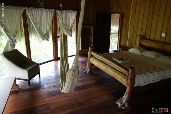 Cómo llegar a la Selva Lacandona y qué ver durante tu visita