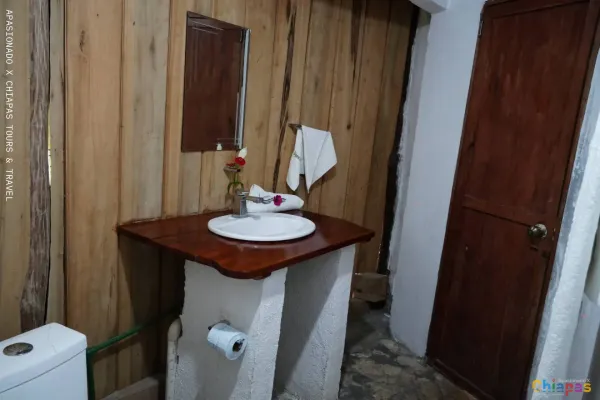 Cómo llegar a la Selva Lacandona y qué ver durante tu visita