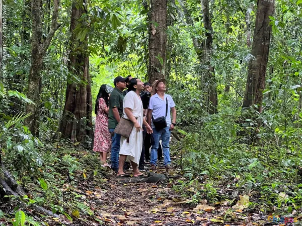 Viaje a la Selva Lacandona: ecoturismo, aventura y cultura maya