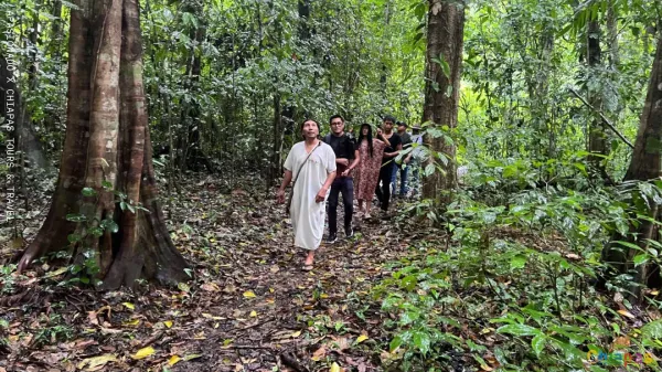 Qué hacer en la Selva Lacandona: experiencias únicas en Chiapas Qué hacer en la Selva Lacandona: experiencias únicas en Chiapas