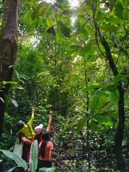 Guía de Turistas Certificado en Chiapas
