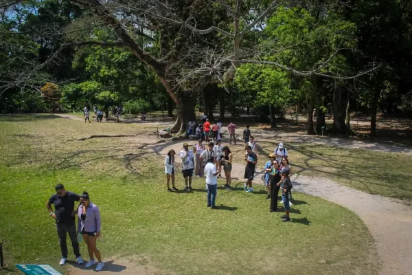 Guía de Turistas Certificado en Chiapas