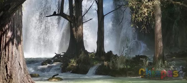 Caminando a través de las Eras: Paraiso en chiflon chiapas